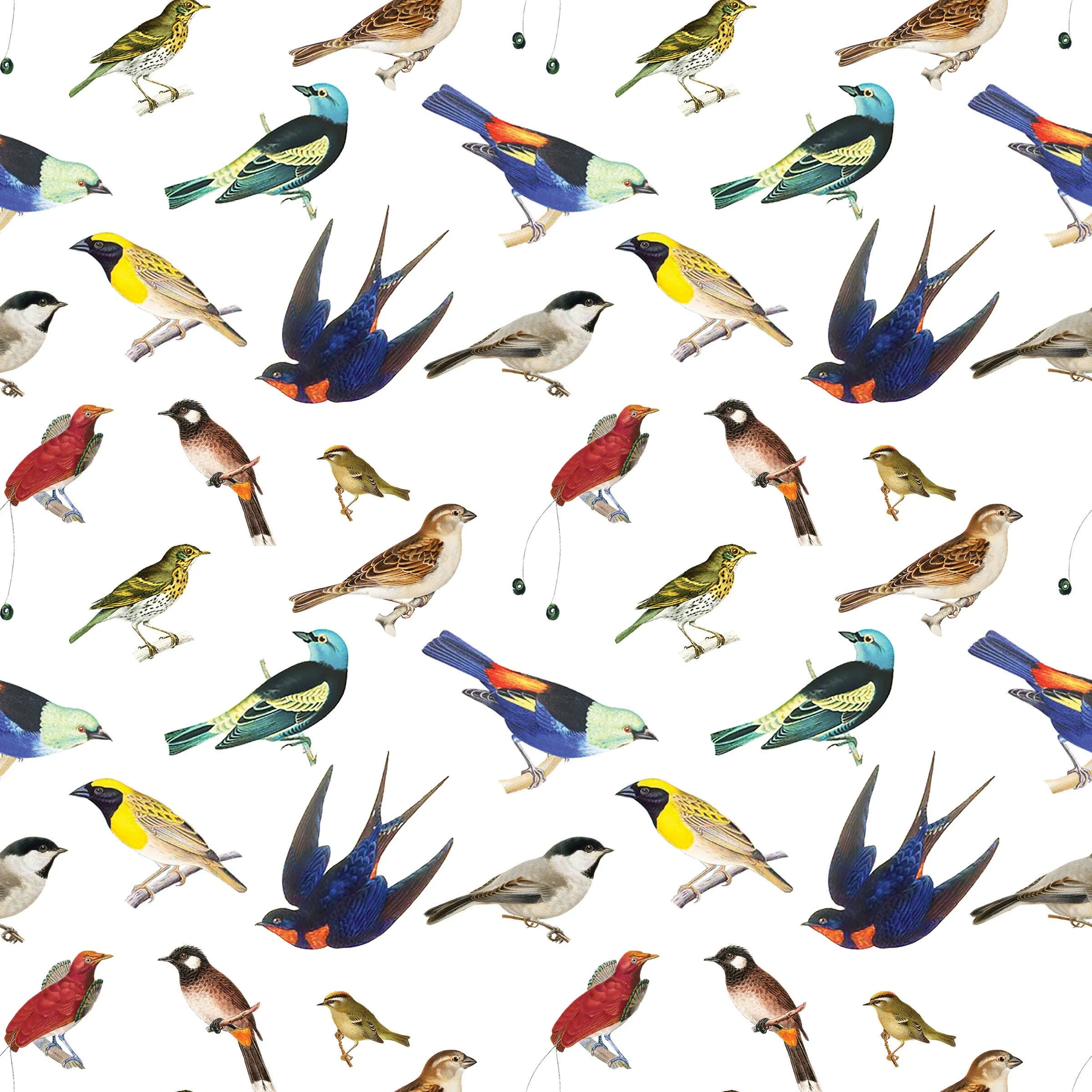 Songbirds Gift Wrap